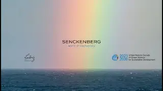 Senckenberg supports the UN Ocean Decade
