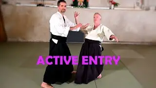 Yokomenuchi iriminage (active entry) - 横面打ち入身投げ - Aikido Virtual Dojo