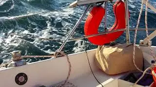 Junk rig Top Hat 25 Bribie Island