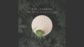 Inspiration for Success
