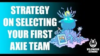Strategy on selecting your first Axie Team