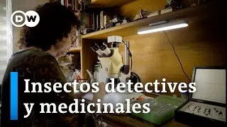 Marta Wolff: Desentrañar los secretos de la vida y la muerte | Fuerza Latina DW