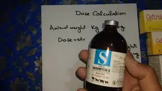 Dose Calculation for animals