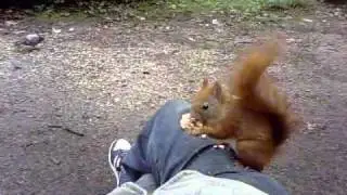 sitting in a park