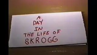 A Day in the Life of Skrogg