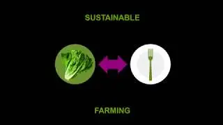 Indoor Vertical Farming with LED Grow Lights - Future Food for Taproot Kitchen