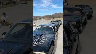 Mine is the 1st in the line up! 🦅🤠 #smokeyandthebandit #pontiacfirebird #firebird