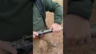 Benelli M2 #12gauge #shorts #fyp #fypシ゚ #shotgun #hunting #outdoors #benelli #asmr #uplandhunting