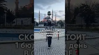 СКОЛЬКО СТОИТ 1 ДЕНЬ В СТАМБУЛЕ?как считаете-это бюджетно? #влог #стамбул #влоги #обзор
