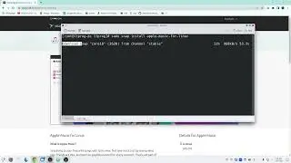 Tutorial : Install Snapcraft (Snap) and Apple Music on Endeavour OS (Arch Linux)