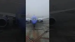 OAKland Airport: Arrival