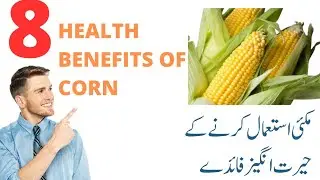 8 Benefits of Corn 🌽 || Chali khany k faiday || Nutritional Benefits of Corn