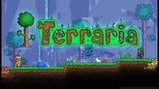 Скрафтил йо йо Амазония в Terraria!