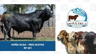 28 DO&Ntilde;A OLGA TRES ISLETAS RP221
