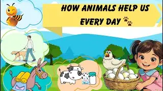 How Animals Help Us Every Day 🐾 | Learn with Anshu