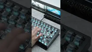 Immersive Unboxing | Slice75 HE | WS Flux Switches | Black Transparent Keycaps