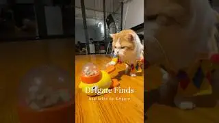 Smart pet toy that keeps your fur baby happy & busy 🐶🧩 #petsupplies #dhgate #dhgatefinds