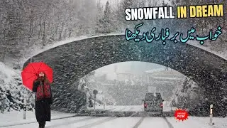Snow Falling in Dream | Hidden Spiritual Message || Dreamfo || Sapne mein Snowfall Dekhna