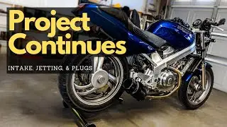 ProjectPeppy | FINALLY Hawk Project Continues!
