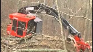 Tree Harvester