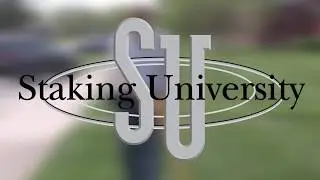 Staking U Student Testimonials - Hands on training