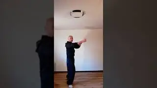 Sifu Frank Kohlhase's Wing Tzun Tutorial - Schrittarbeit / Ausfallschritt