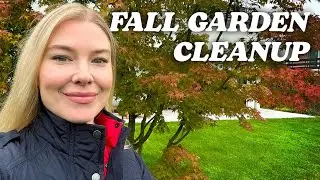 Fall Garden Update | Preparing the Garden for Spring