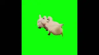 3 Ducks Running Arround - Green Screen