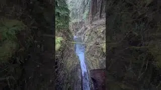 Sol Duc Falls Gorge #river #rainforest #olympicnationalpark