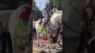 Hours dance 💃 #shadidance #horsedance #hoursepower #hoursedancingvideos #ytshorts