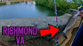 Fishing for STRIPER & CATFISH in DOWNTOWN RICHMOND VIRGINIA! James River Fishing off Bridge!