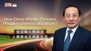How does whole-process people's democracy work?