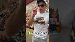 ВРЕМЯ АУКЦИОНА, ДЕТКА! 🚨