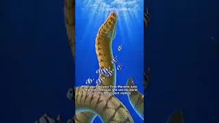 After the extinction of the dinosaurs, the cenozoic period began. #paleontological #palentology