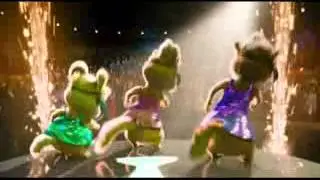 Asal Persian toon