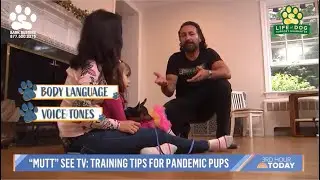 Dog Training Tips from the TODAY Show | Moose&rsquo;s Journey with Bark Busters #todayshow #3rdhour