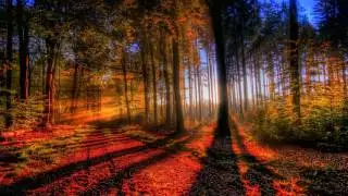XtremeMusik - Echoed Forest [Hip-Hop]