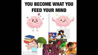 Subscribe for Healthy Brain 🗣️ #sonic #memes
