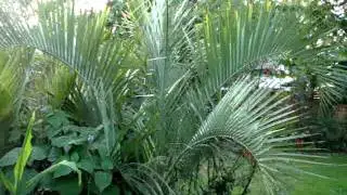 Exotentuin Keiem   28.09.2011   ( deel 2 )