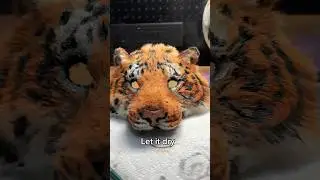 Making a Tiger Therian Mask pt.2 #therian #therianmask #theriancrafts #tigertherian #tiger #yaelokre
