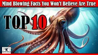 Top 10 Mind-Blowing Facts You Won&rsquo;t Believe Are True And Will Blow Your Mind