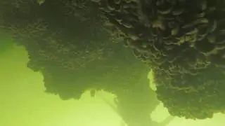 Scuba diving at New York City's Beach 8 St