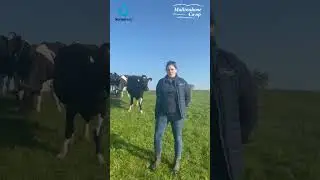 Upgrade Your Farm Management with SenseHub