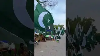 Pakistan flag #pakistanday #pakistan #pakistanindependenceday #trendingshorts