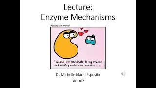 BIO 367 Biochemistry Enzyme Mechanisms (Free College Lessons)