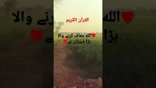 #translation #terjuma #urdutranslation #versetranslation #shortsfeed #quranicshorts @humtum2439