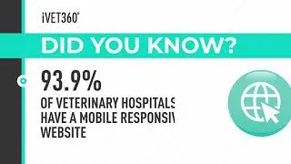 Responsive Web Design Best Practices For Veterinary Websites