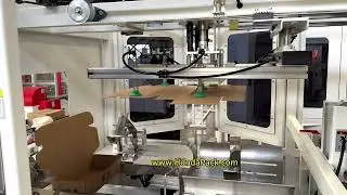 Case erecting machine for tea box - Pyramid tea bags