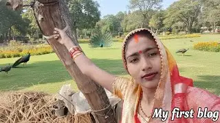 My first blog viral video #Latest_Videos 2025