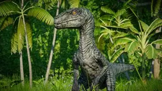 Jurassic World of Paris - The Raptor Cage